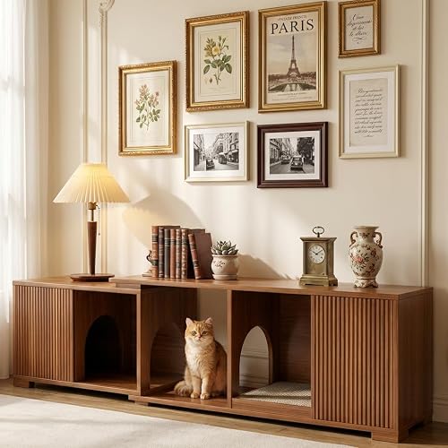 Best Audio Racks and AV Component Stands for Home Theaters i